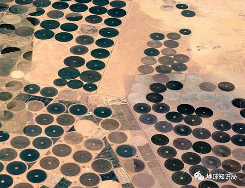 消耗石油海水淡化沙特在发展沙漠农业道路上任重道远