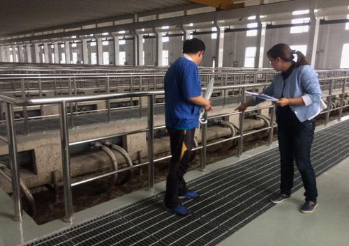 吉林市审计局审计人员在七家子污水处理厂提标改造项目现场查看20万吨MBR生化池设备安装及试运行情况