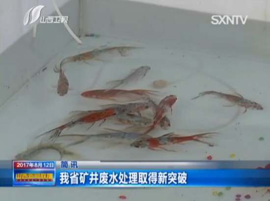 德国ItN箱式陶瓷膜超滤装置在陕西临县用作为示范工程 德国ItN箱式陶瓷膜超滤装置在陕西临县用作为示范工程