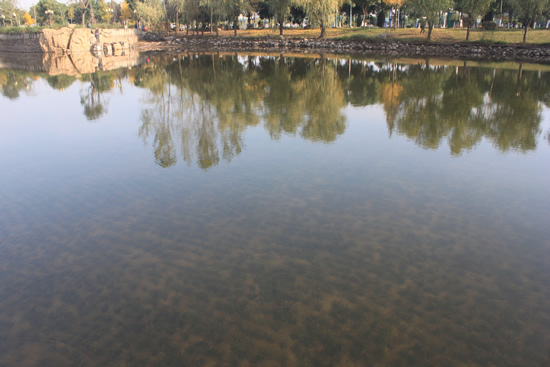 君集股份湖北静思湖地表Ⅱ类水项目,净化效果明显 君集股份湖北静思湖地表Ⅱ类水项目,净化效果明显