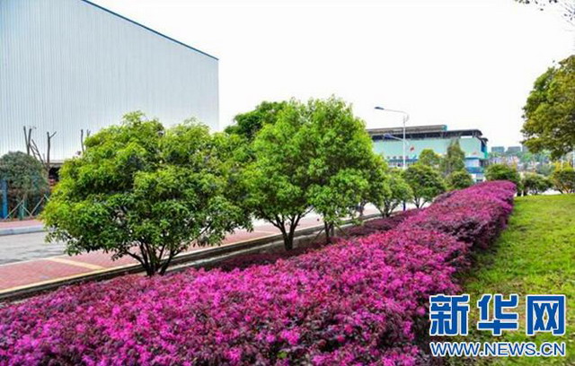 投资4140万萍安钢铁安源生产区废水集中处理扩容改造