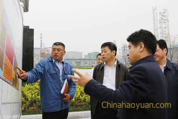 安徽昊源化工集团有限公司党委副书记、副总经理高玉磊（左一）