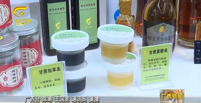 广西大学陶瓷膜蔗汁物理澄清技术亮相广西糖业成就展