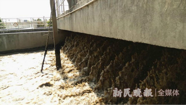 被锁定超标源头上海银木升级改造废水处理站整改到位