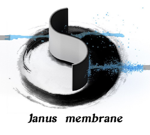 Janus膜