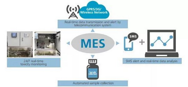 MES毒性传感器系统的工作流程图