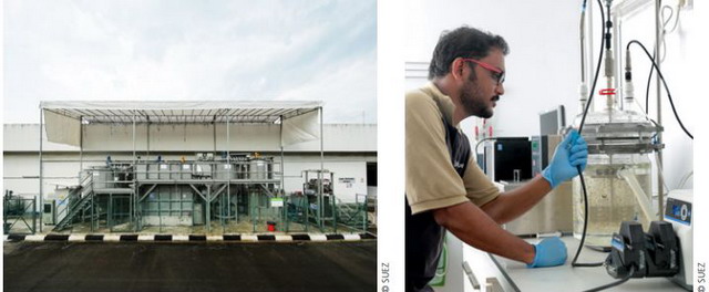 ▲ 位于Kranji再生水厂的高效AB法工艺中试厂(左)；AB法污泥的生物甲烷潜在产量分析(右)