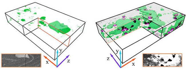 聚焦离子束双束扫描电镜（FIB-SEM）的断层绘制视图：（左）15min蚀刻缺陷的MOF；（右）60min蚀刻缺陷的MOF；绿色：缺陷MOF，白色：PVA，紫色：空隙；插入的是对应标记断面的SEM成像。