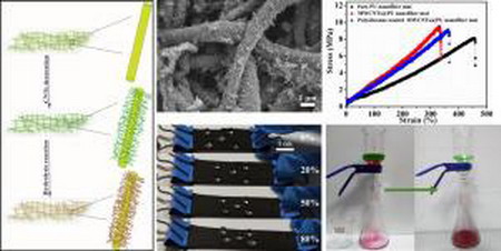 可拉伸导电和超疏水、超亲油性纳米纤维膜的制备研究