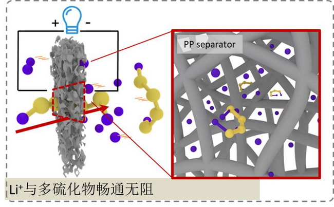 重庆大学魏子栋教授团队在锂硫电池隔膜研究取得突破