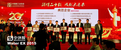 中环膜总经理毕飞（右三）领取中国膜工业协会“典范企业”奖