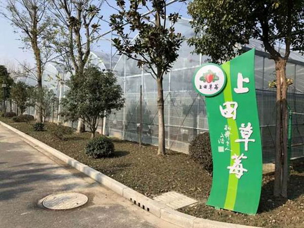 现代设施农业上田草莓园用上了先进的反渗透净水设备