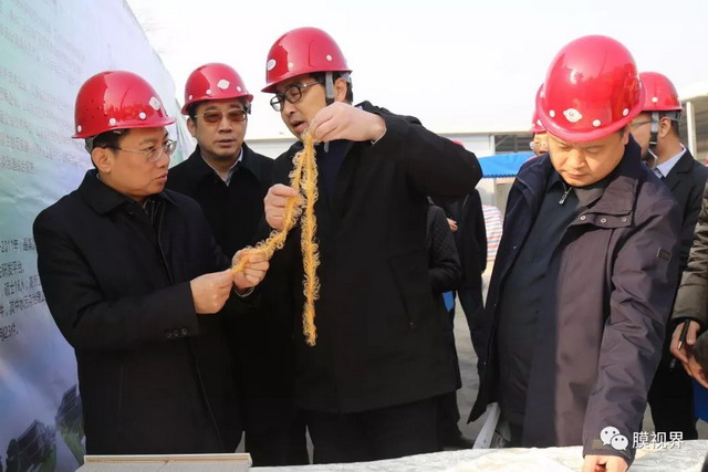 南京市委书记视察凯米膜正在承建湖滨水质净化站项目