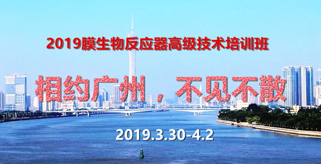 2019年MBR高级技术培训亮点纷呈