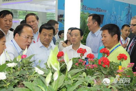 微润灌溉