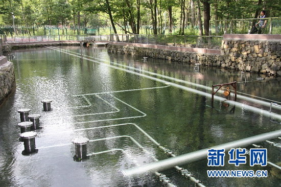 吉林省延边朝鲜族自治州安图县二道白河镇农心取水口 吉林省延边朝鲜族自治州安图县二道白河镇农心取水口