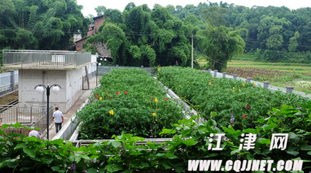 白沙镇环境连片整治效果