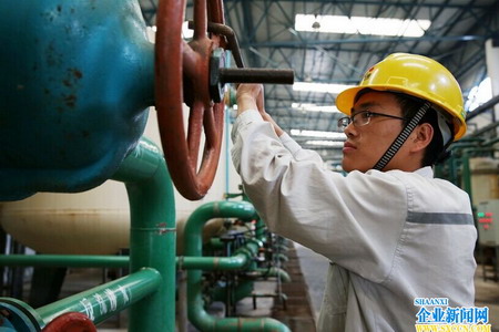 延安石油化工厂除盐水装置