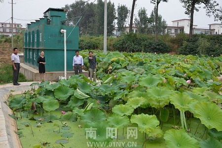 村民们在观赏红莲 村民们在观赏红莲