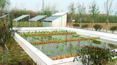 胶州市首座村级“太阳能”污水处理厂 胶州市首座村级“太阳能”污水处理厂