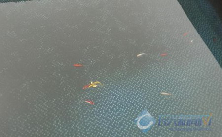 天能集团在长兴县和平镇循环经济园打造膜法水处理中心