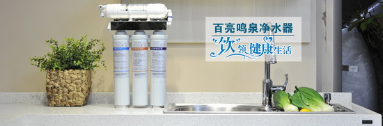 广州百亮电子一场净水行业专家高峰论坛推出RO净水器 广州百亮电子一场净水行业专家高峰论坛推出RO净水器