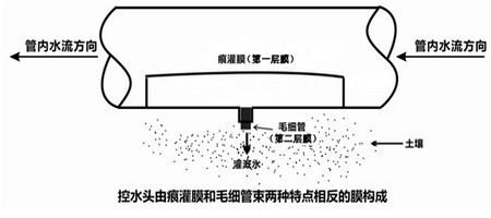 痕量灌溉系统控水头结构示意图 痕量灌溉系统控水头结构示意图