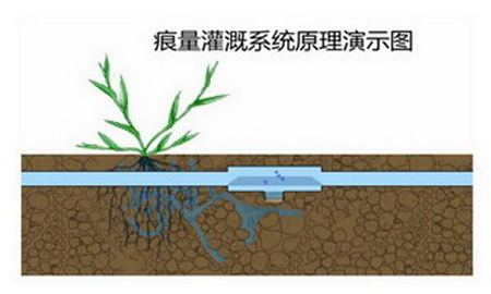 1449036828448731.jpg 2015-12-02-17.jpg