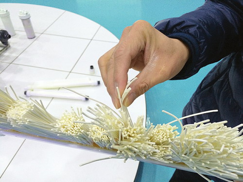 涌泉膜公司生产的膜丝涌泉膜公司生产的膜丝 涌泉膜公司生产的膜丝涌泉膜公司生产的膜丝