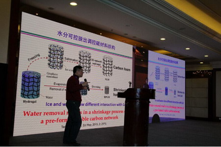天津大学教授杨全红在中国石墨烯产业发展高层会议做报告 天津大学教授杨全红在中国石墨烯产业发展高层会议做报告