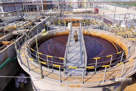双桃精化新厂区污水生化处理设施 双桃精化新厂区污水生化处理设施