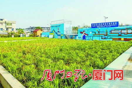后溪镇下庄社分散式污水处理站水质可达1级A排放标准 后溪镇下庄社分散式污水处理站水质可达1级A排放标准