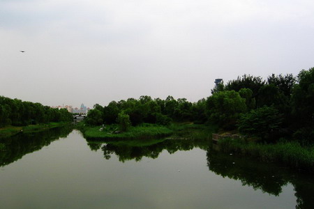 海淀区稻香湖再生水厂地上部分参照湿地建设园林景观 海淀区稻香湖再生水厂地上部分参照湿地建设园林景观