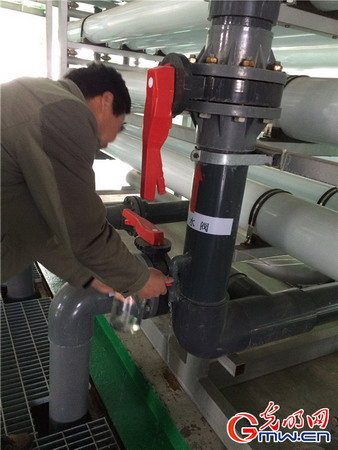 王福才展示经过处理的尾水 王福才展示经过处理的尾水