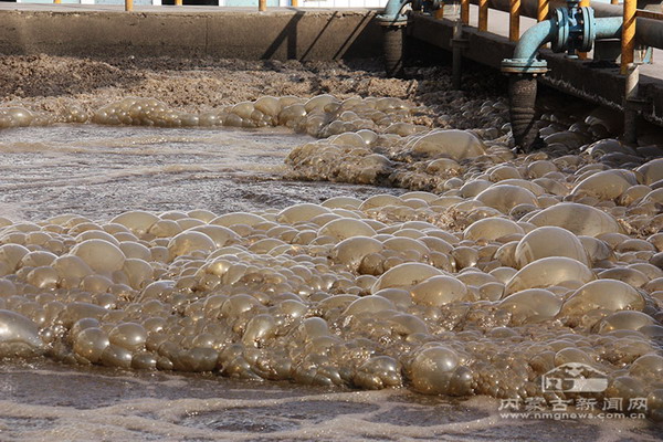 煤制油产生的高浓度污水 煤制油产生的高浓度污水