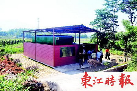 博罗县柏塘镇燕光村日处理污水可达100吨的生物膜污水处理厂（供图：《东江时报》记者姚木森）
