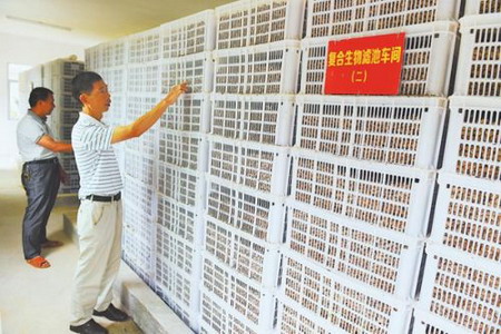 吾峰镇吾中村复合生物滤池室 吾峰镇吾中村复合生物滤池室