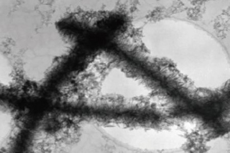 “百芳公司”开发出高效大容量和高去除率净水电晶膜 “百芳公司”开发出高效大容量和高去除率净水电晶膜