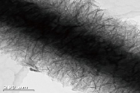 “百芳公司”开发出高效大容量和高去除率净水电晶膜 “百芳公司”开发出高效大容量和高去除率净水电晶膜