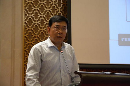 青海省锂产业技术创新战略联盟理事长段东平
