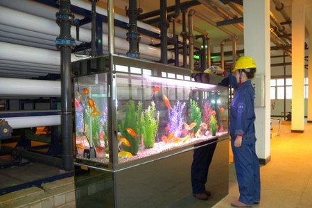 工业废水经膜处理后可饲养金鱼 工业废水经膜处理后可饲养金鱼