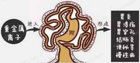 由清华王玉兰核孔膜技术初本智能推出inou水垢净化杯 由清华王玉兰核孔膜技术初本智能推出inou水垢净化杯