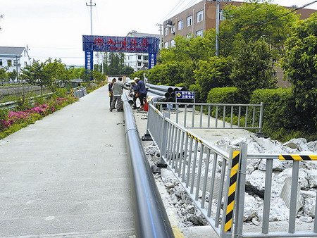 生活污水治理后桃花水母现身宁波五乡镇石山弄村水潭 生活污水治理后桃花水母现身宁波五乡镇石山弄村水潭