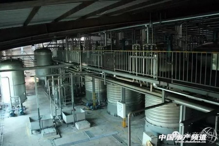 信豚南沙酵母新工厂