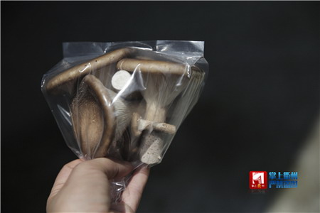 衢州市翔龙农业栽培猪肚菇喷淋用水经过反渗透膜过滤