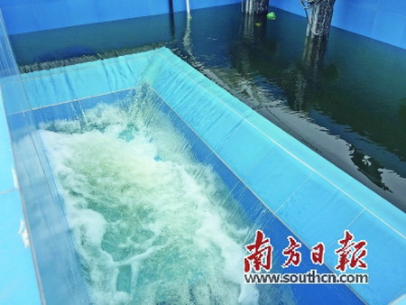 经过处理的污水,水质清澈透明 经过处理的污水,水质清澈透明