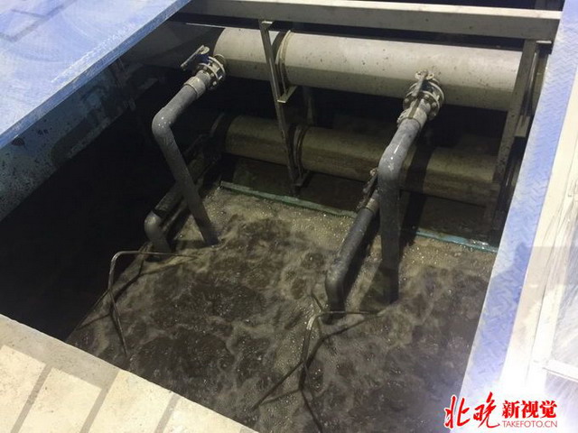 藏身于地下的槐房再生水厂还给北京市民一个湿地公园