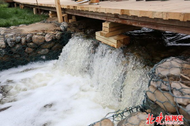 藏身于地下的槐房再生水厂还给北京市民一个湿地公园