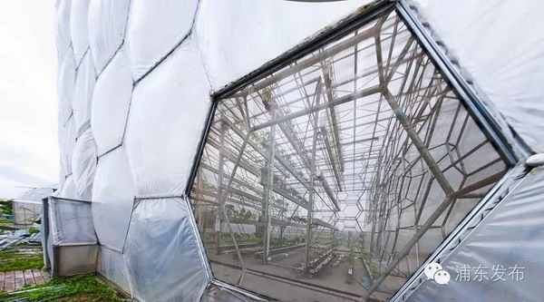 上海赋民农业种植基地水处理设施构成“云种植”体系