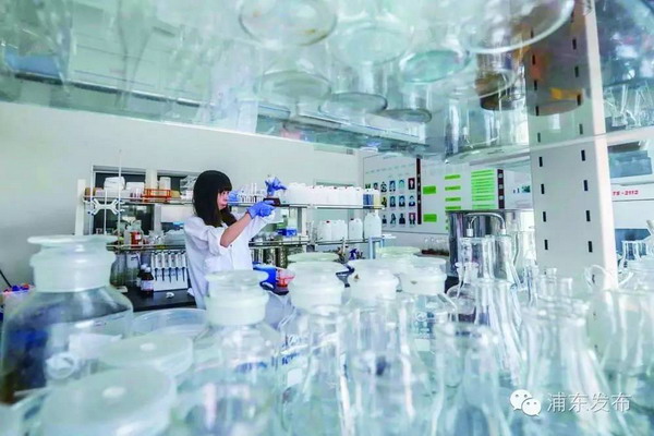 上海赋民农业种植基地水处理设施构成“云种植”体系